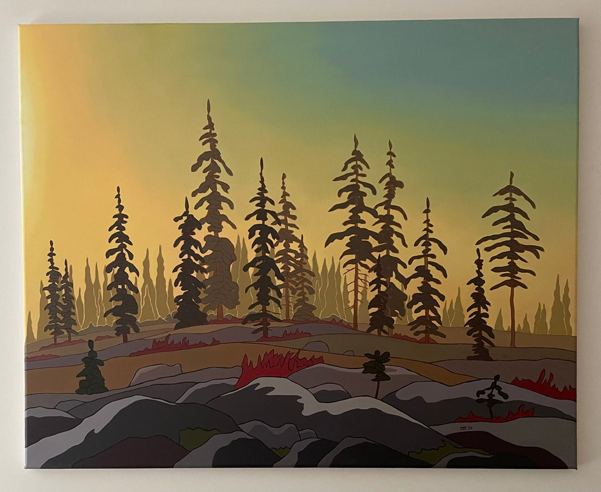 The Wilderness