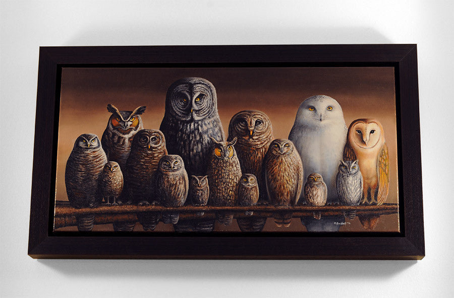 Owls of Canada