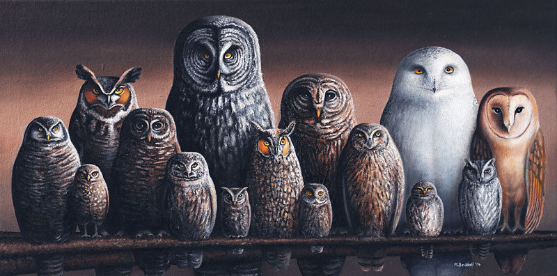 Owls of Canada